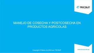Copyright © Marzo de 2024 por TECSUP
MANEJO DE COSECHA Y POSTCOSECHA EN
PRODUCTOS AGRICOLAS
 
