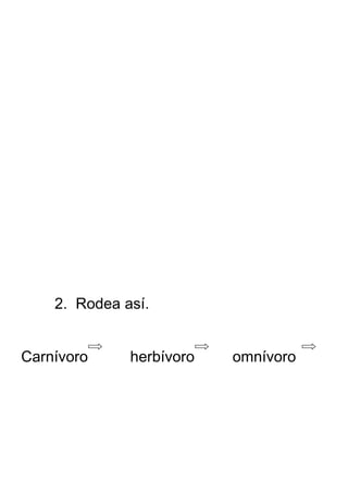 2. Rodea así.


Carnívoro     herbívoro   omnívoro
 