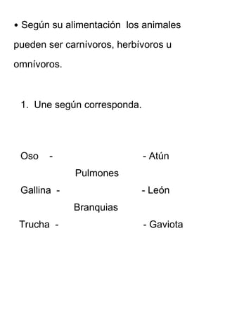 • Según su alimentación los animales

pueden ser carnívoros, herbívoros u

omnívoros.



 1. Une según corresponda.




 Oso   -                     - Atún
             Pulmones
 Gallina -                   - León
             Branquias
 Trucha -                    - Gaviota
 