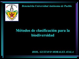 Benemérita Universidad Autónoma de Puebla
Métodos de clasificación para la
biodiversidad
BIOL. GUSTAVO MORALES AYALA
 