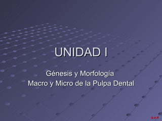 UNIDAD I Génesis y Morfología  Macro y Micro de la Pulpa Dental 