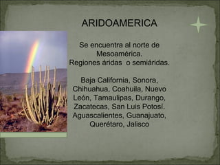 ARIDOAMERICA Se encuentra al norte de Mesoamérica. Regiones áridas  o semiáridas. Baja California, Sonora, Chihuahua, Coahuila, Nuevo León, Tamaulipas, Durango, Zacatecas, San Luis Potosí. Aguascalientes, Guanajuato, Querétaro, Jalisco 