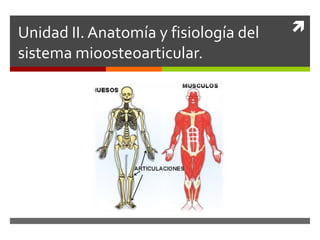 Unidad II. Anatomía y fisiología del
sistema mioosteoarticular.
 