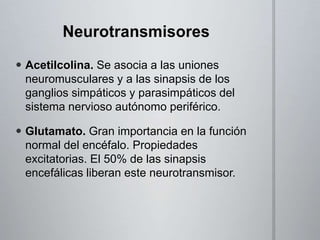 Conducción Neuronal y Transmisión Sináptica