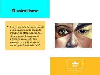  En este modelo de relación social
el pueblo dominante acepta la
inclusión de otras culturas, pero
sigue considerándolos como
inferiores, en sus intentos
proponen el mestizaje como
opción para “mejorar la raza”.
El asimilismo
 