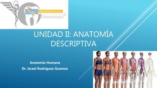 UNIDAD II: ANATOMÍA
DESCRIPTIVA
Anatomía Humana
Dr. Israel Rodriguez Guzman
 