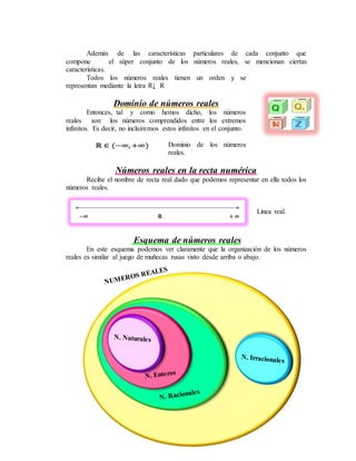 Además de las características particulares de cada conjunto que
compone el súper conjunto de los números reales, se mencionan ciertas
características.
Todos los números reales tienen un orden y se
representan mediante la letra R↓ R
Dominio de números reales
Entonces, tal y como hemos dicho, los números
reales son los números comprendidos entre los extremos
infinitos. Es decir, no incluiremos estos infinitos en el conjunto.
Dominio de los números
reales.
Números reales en la recta numérica
Recibe el nombre de recta real dado que podemos representar en ella todos los
números reales.
Línea real.
Esquema de números reales
En este esquema podemos ver claramente que la organización de los números
reales es similar al juego de muñecas rusas visto desde arriba o abajo.
 