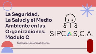 La Seguridad,
La Salud y el Medio
Ambiente en las
Organizaciones.
Modulo C
Facilitador: Alejandra Sánchez.
 