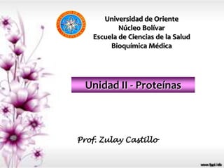 Universidad de Oriente
           Núcleo Bolívar
   Escuela de Ciencias de la Salud
        Bioquímica Médica




  Unidad II - Proteínas



Prof. Zulay Castillo
 