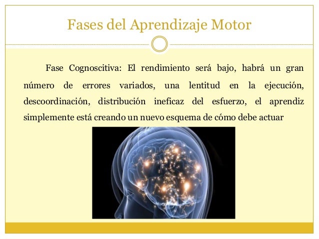Unidad ii aprendizaje motor
