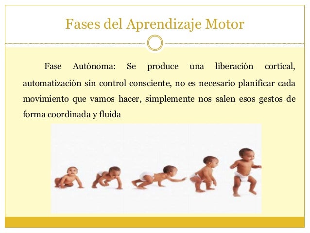 Unidad ii aprendizaje motor