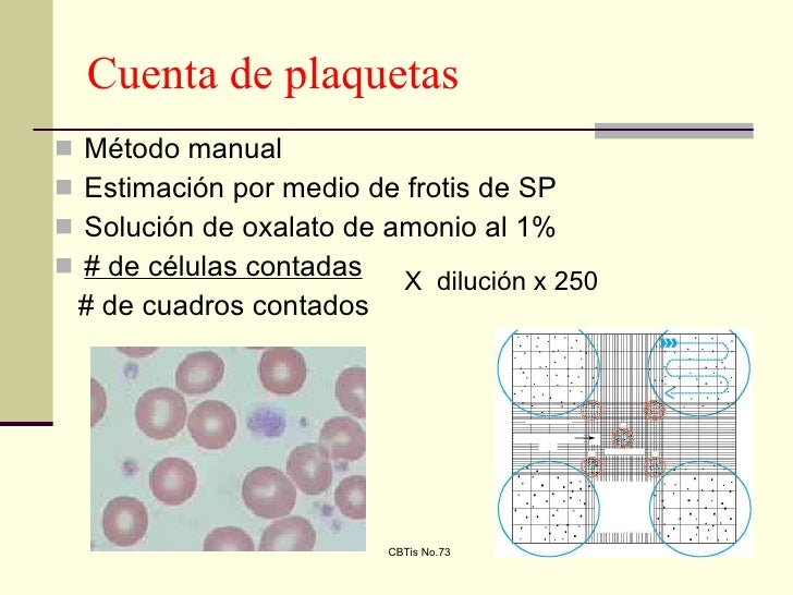 Unidad II banco de sangre