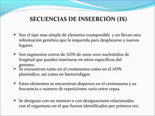 SECUENCIAS DE INSEERCIÓN (IS)
 Son el tipo mas simple de elemento transponible y no llevan otra
información genética que la requerida para desplazarse a nuevos
lugares.
 Son segmentos cortos de ADN de unos 1000 nucleótidos de
longitud que pueden insertarse en sitios específicos del
genoma.
 Se encuentran tanto en el cromosoma como en el ADN
plasmídico, así como en bacteriofagos.
 Estos elementos se encuentran dispersos en el cromosoma y su
frecuencia o numero de repeticiones varia entre cepas.
 Se designan con un numero o con designaciones relacionadas
con el organismo en el que fueron identificados por primera vez.
 