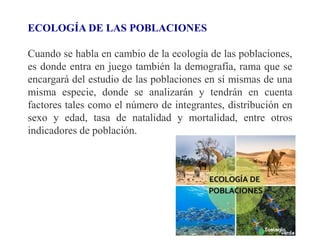 ECOLOGÍA DE LAS POBLACIONES
Cuando se habla en cambio de la ecología de las poblaciones,
es donde entra en juego también la demografía, rama que se
encargará del estudio de las poblaciones en sí mismas de una
misma especie, donde se analizarán y tendrán en cuenta
factores tales como el número de integrantes, distribución en
sexo y edad, tasa de natalidad y mortalidad, entre otros
indicadores de población.
 