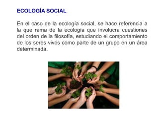 ECOLOGÍA SOCIAL
En el caso de la ecología social, se hace referencia a
la que rama de la ecología que involucra cuestiones
del orden de la filosofía, estudiando el comportamiento
de los seres vivos como parte de un grupo en un área
determinada.
 
