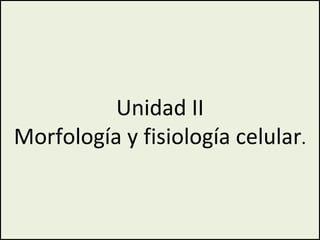 Unidad II Morfología y fisiología celular . 
