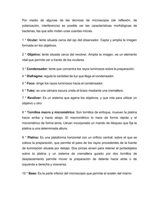 Por medio de algunas de las técnicas de microscopia (de reflexión, de
polarización, interferencia) es posible ver las características morfológicas de
bacterias, las que sólo miden unas cuantas micras.

1 * Ocular: lente situada cerca del ojo del observador. Capta y amplía la imagen
formada en los objetivos.

2 * Objetivo: lente situada cerca del revolver. Amplía la imagen, es un elemento
vital que permite ver a través de los oculares

3 * Condensador: lente que concentra los rayos luminosos sobre la preparación.

4 * Diafragma: regula la cantidad de luz que llega al condensador.

5 * Foco: dirige los rayos luminosos hacia el condensador.

6 * Tubo: es una cámara oscura unida al brazo mediante una cremallera.

7 * Revólver: Es un sistema que agarra los objetivos, y que rota para utilizar un
objetivo u otro

8 * Tornillos macro y micrométrico: Son tornillos de enfoque, mueven la platina
hacia arriba y hacia abajo. El macrométrico lo hace de forma rápida y el
micrométrico de forma lenta. Llevan incorporado un mando de bloqueo que fija la
platina a una determinada altura.

9 * Platina: Es una plataforma horizontal con un orificio central, sobre el que se
coloca la preparación, que permite el paso de los rayos procedentes de la fuente
de iluminación situada por debajo. Dos pinzas sirven para retener el portaobjetos
sobre la platina y un sistema de cremallera guiado por dos tornillos de
desplazamiento permite mover la preparación de delante hacia atrás o de
izquierda a derecha y viceversa.

10 * Base: Es la parte inferior del microscopio que permite el sostén del mismo
 