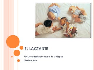 EL LACTANTE
Universidad Autónoma de Chiapas
5to Módulo
 