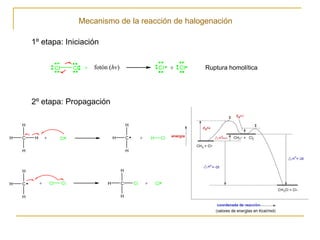 Halogenacion Alcanos y Cicloalcanos | PDF