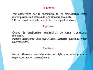 Paquiteno:
*Se caracteriza por la apariencia de los cromosomas como
hebras gruesas indicativas de una sinapsis completa.
* El número de unidades en el núcleo es igual al número n.
Diploteno:
*Ocurre la duplicación longitudinal de cada cromosoma
homólogo,
*Pueden apreciarse unas estructuras llamadas quiasmas entre
las cromátidas.
Diacinesis:
*No se diferencia sensiblemente del diploteno, salvo por una
mayor contracción cromosómica.
 