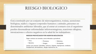 RIESGO BIOLOGICO
Está constituido por un conjunto de microorganismos, toxinas, secreciones
biológicas, tejidos y órganos corporales humanos y animales, presentes en
determinados ambientes laborales, que al entrar en contacto con el organismo
pueden desencadenar enfermedades infectocontagiosas, reacciones alérgicas,
intoxicaciones o efectos negativos en la salud de los trabajadores
 