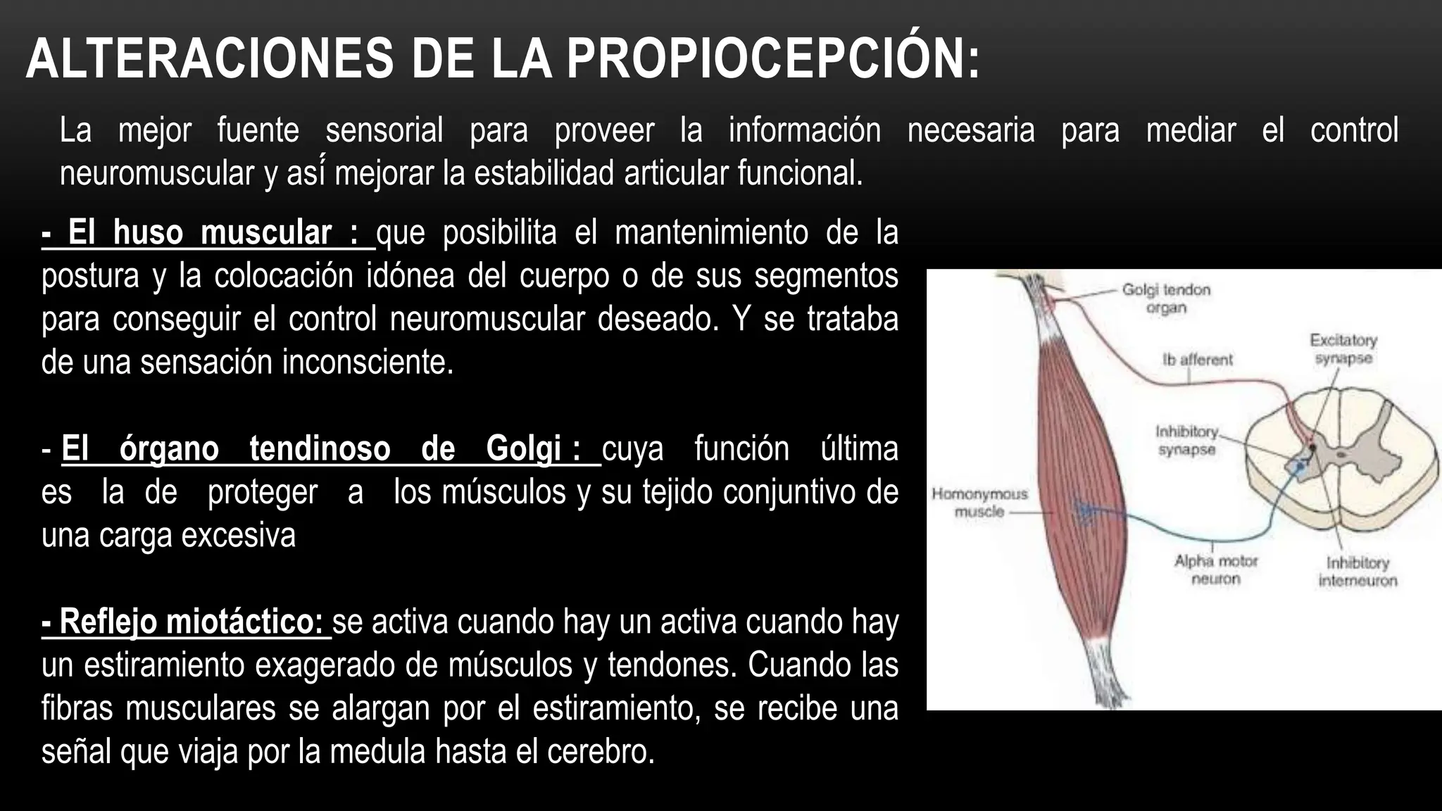 UNIDAD III - Alteraciones articulares y periarticulares PARTE II.pptx