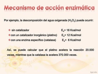 Por ejemplo, la descomposición del agua oxigenada (H2O2) puede ocurrir:


    sin catalizador                          Ea= 18 Kcal/mol
   con un catalizador inorgánico (platino)   Ea= 12 Kcal/mol
   con una enzima específico (catalasa)      Ea= 6 Kcal/mol


  Así, se puede calcular que el platino acelera la reacción 20.000
  veces, mientras que la catalasa la acelera 370.000 veces.
 