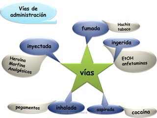 vías
Vías de
administración
fumada
aspirada
ingerida
inhalada
inyectada
Dra. Estela Martin - Unidad III - Toxicología 27
 