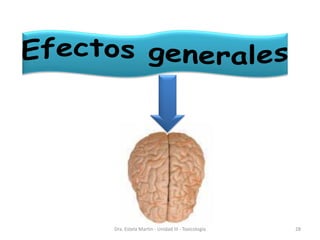 Dra. Estela Martin - Unidad III - Toxicología 28
 
