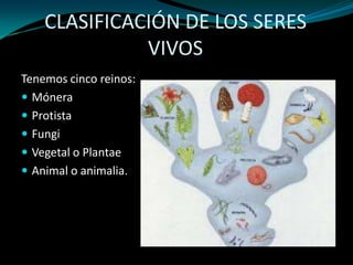 CLASIFICACIÓN DE LOS SERES
VIVOS
Tenemos cinco reinos:
 Mónera
 Protista
 Fungi
 Vegetal o Plantae
 Animal o animalia.

 