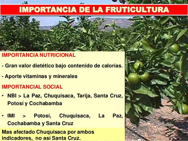 IMPORTANCIA DE LA FRUTICULTURA PDF DOWNLOAD IMPORTANCIA DE LA FRUTICULTURA PDF DOWNLOAD