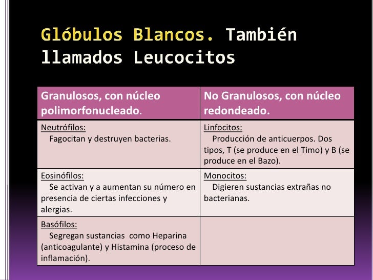 Resultado de imagen para tipos de glÃ³bulos blancos y sus funciones