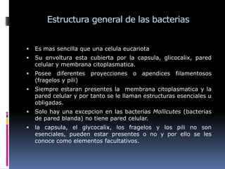 Estructura general de las bacterias
 Es mas sencilla que una celula eucariota
 Su envoltura esta cubierta por la capsula, glicocalix, pared
celular y membrana citoplasmatica.
 Posee diferentes proyecciones o apendices filamentosos
(fragelos y pili)
 Siempre estaran presentes la membrana citoplasmatica y la
pared celular y por tanto se le llaman estructuras esenciales u
obligadas.
 Solo hay una excepcion en las bacterias Mollicutes (bacterias
de pared blanda) no tiene pared celular.
 la capsula, el glycocalix, los fragelos y los pili no son
esenciales, pueden estar presentes o no y por ello se les
conoce como elementos facultativos.
 