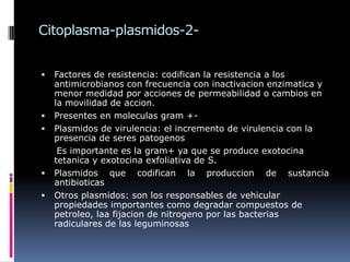Citoplasma-plasmidos-2-
 Factores de resistencia: codifican la resistencia a los
antimicrobianos con frecuencia con inactivacion enzimatica y
menor medidad por acciones de permeabilidad o cambios en
la movilidad de accion.
 Presentes en moleculas gram +-
 Plasmidos de virulencia: el incremento de virulencia con la
presencia de seres patogenos
Es importante es la gram+ ya que se produce exotocina
tetanica y exotocina exfoliativa de S.
 Plasmidos que codifican la produccion de sustancia
antibioticas
 Otros plasmidos: son los responsables de vehicular
propiedades importantes como degradar compuestos de
petroleo, laa fijacion de nitrogeno por las bacterias
radiculares de las leguminosas
 