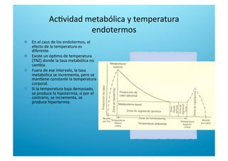   En el caso de los endotermos, el 
efecto de la temperatura es 
diferente. 

   Existe un óp6mo de temperatura 
(TNZ) donde la tasa metabólica no 
cambia. 

   Fuera de ese intervalo, la tasa 
metabólica se incrementa, pero se 
man6ene constante la temperatura 
corporal. 

   Si la temperatura baja demasiado, 
se produce la hipotermia, si por el 
contrario, se incrementa, se 
produce hipertermia. 
Ac6vidad metabólica y temperatura 
endotermos 
 