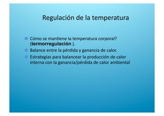 Regulación de la temperatura 

   Cómo se man6ene la temperatura corporal?  
(termorregulación ).  

   Balance entre la pérdida y ganancia de calor.  

   Estrategias para balancear la producción de calor 
interna con la ganancia/pérdida de calor ambiental 
 