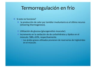   Si esto no funciona? 

    la producción de calor por temblor involuntario es el úl6mo recurso 
(shivering thermogenesis). 

   U6lización de glucosa (glucogenolisis muscular). 

   Incremento en la oxidación de de carbohidratos y lípidos en el 
músculo: 588 y 63%, respec6vamente. 

  Los ácidos grasos u6lizados provienen de reservorios de triglicéridos 
en el músculo. 
Termorregulación en frío 
 