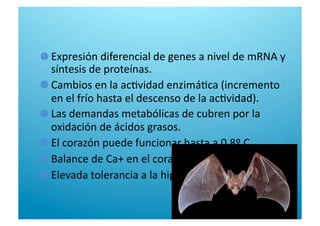  Expresión diferencial de genes a nivel de mRNA y 
síntesis de proteínas. 

  Cambios en la ac6vidad enzimá6ca (incremento 
en el frío hasta el descenso de la ac6vidad). 

  Las demandas metabólicas de cubren por la 
oxidación de ácidos grasos. 

  El corazón puede funcionar hasta a 0.8º C. 

  Balance de Ca+ en el corazón. 

  Elevada tolerancia a la hipoglucemia e hipoxia 
 