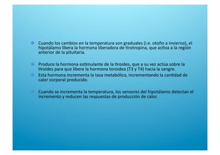   Cuando los cambios en la temperatura son graduales (i.e. otoño a invierno), el 
hipotálamo libera la hormona liberadora de 6rotropina, que ac6va a la región 
anterior de la pituitaria.  

   Produce la hormona es6mulante de la 6roides, que a su vez actúa sobre la 
6roides para que libere la hormona toroidea (T3 y T4) hacia la sangre. 

   Esta hormona incrementa la tasa metabólica, incrementando la can6dad de 
calor corporal producido.  

   Cuando se incrementa la temperatura, los sensores del hipotálamo detectan el 
incremento y reducen las respuestas de producción de calor.  
 