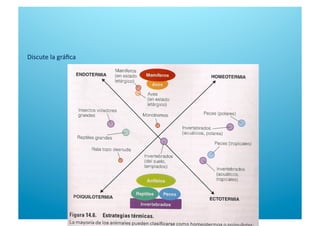 Discute la gráﬁca 
 