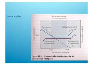 Discute la gráﬁca 
 
