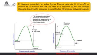 Energía
de activación
Complejo
activado
Reactivos
H>0
Transcurso de la reacción
Reacción endotérmica
Productos
El diagrama presentado en estas figuras: Energía potencial (ó H ó G) vs.
avance de la reacción nos da una idea si la reacción ocurre con facilidad
(Energía de activación pequeña) o con dificultad (Energía de activación grande)
El complejo activado es una
asociación transitoria muy
inestable, ya que su energía es
superior a las moléculas de
reactivo y producto.
Energía
de activación
Reactivos
Transcurso de la reacción
Reacción exotérmica
Productos
 