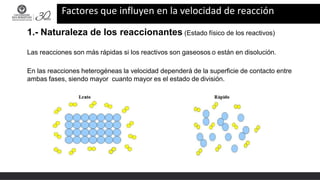 Factores que influyen en la velocidad de reacción
1.- Naturaleza de los reaccionantes (Estado físico de los reactivos)
Las reacciones son más rápidas si los reactivos son gaseosos o están en disolución.
En las reacciones heterogéneas la velocidad dependerá de la superficie de contacto entre
ambas fases, siendo mayor cuanto mayor es el estado de división.
 