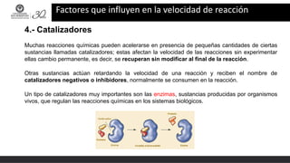 Factores que influyen en la velocidad de reacción
4.- Catalizadores
Muchas reacciones químicas pueden acelerarse en presencia de pequeñas cantidades de ciertas
sustancias llamadas catalizadores; estas afectan la velocidad de las reacciones sin experimentar
ellas cambio permanente, es decir, se recuperan sin modificar al final de la reacción.
Otras sustancias actúan retardando la velocidad de una reacción y reciben el nombre de
catalizadores negativos o inhibidores, normalmente se consumen en la reacción.
Un tipo de catalizadores muy importantes son las enzimas, sustancias producidas por organismos
vivos, que regulan las reacciones químicas en los sistemas biológicos.
 