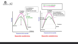 Energía
de activación
Transcurso de la reacción
Complejo
activado
Reactivos
H>0
Reacción endotérmica
Productos
Los catalizadores
positivos disminuyen
la energía de activación
E.A sin catalizador
E.A con inhibidor
Energía
de activación
Complejo
activado
Reactivos
H<0
Transcurso de la reacción
Reacción exotérmica
Productos
E.A
Los inhibidores
aumentan la
energía de activación
 