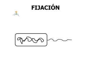 FIJACIÓN
 