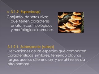  3.1.9. Especie(sp)
Conjunto de seres vivos
que tienen caracteres
anatómicos ,fisiológicos
y morfológicos comunes.
3.1.9.1. Subespecie (subsp)
Derivaciones de las especies que comparten
características similares, teniendo algunos
rasgos que las diferencian y de ahí se les da
otro nombre.
 