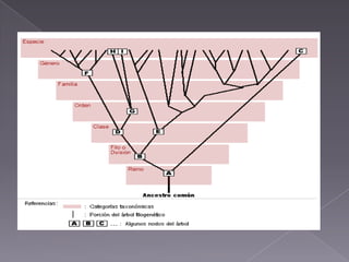 Nomenclatura microorganismos 