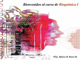 Bienvenidos al curso de Bioquímica I
Prof. Alfonso R. Bravo H.
 