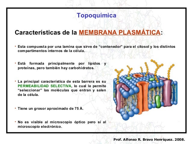 Unidad i introducción membrana transporte